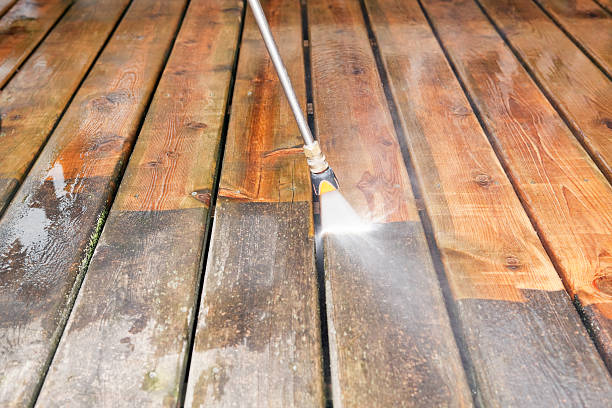 Best Roof Power Washing Services  in Perry, FL