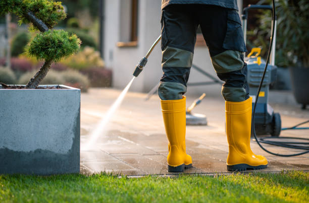 Best House Pressure Washing  in Perry, FL